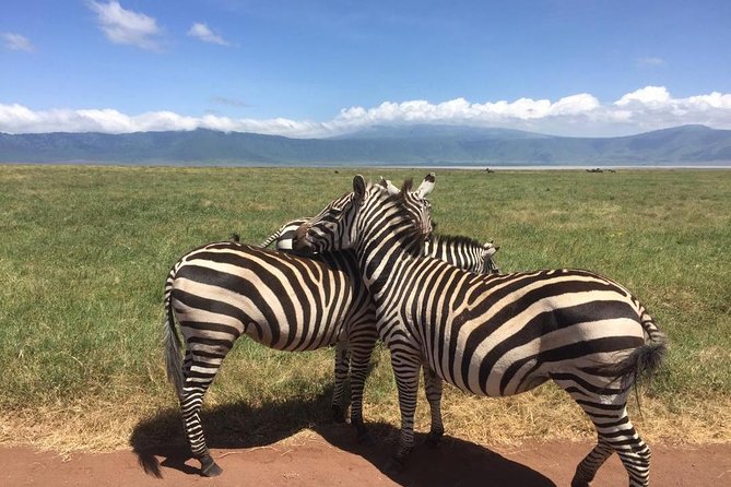 1 Daytrip Amazing to Ngorongoro Crater from Arusha or Moshi - Key things to know before you book