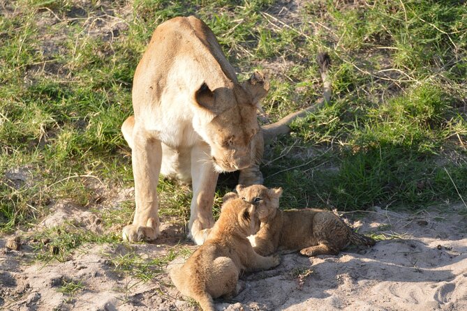 10-Day Amazing Comfort Camping Safari - Day 5: Crossing to the central Serengeti