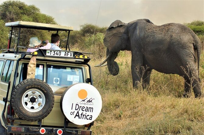 10-Day Amazing Comfort Camping Safari - Day 7: Leaving the Serengeti for Ngorongoro