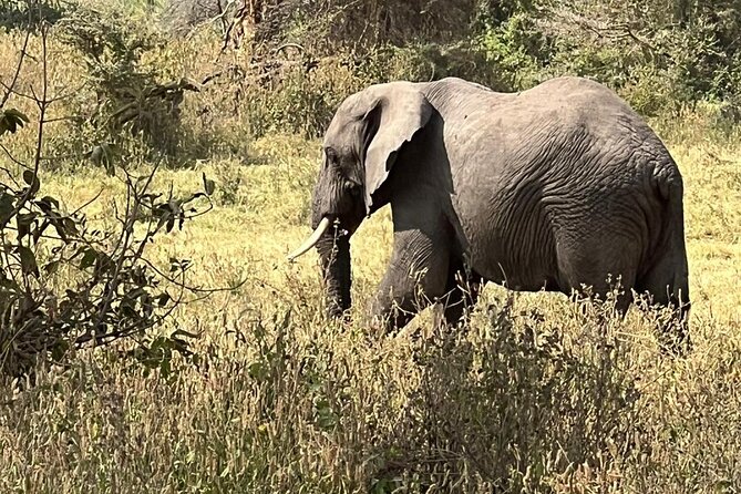 10 Day Serengeti, Ngorongoro Crater and Zanzibar Private Tour - Key points to know before booking