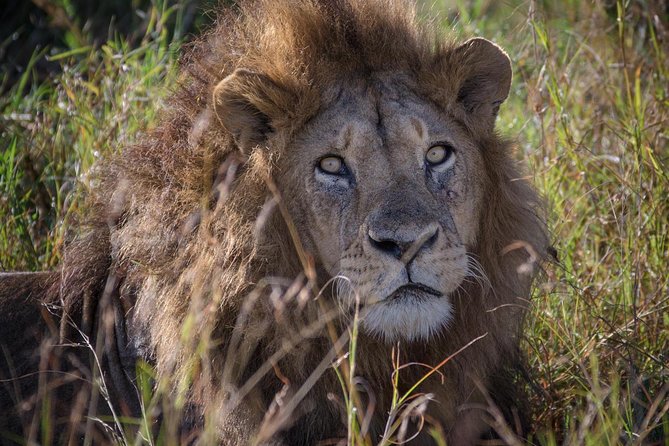 10 Days Mikumi Ruaha Selous Experience - Key points to know before booking