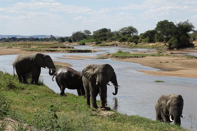 10 days Safari to Nyerere NP, Ruaha NP, Udzungwa NP and Mikumi NP + Isimila Site - What makes this safari different