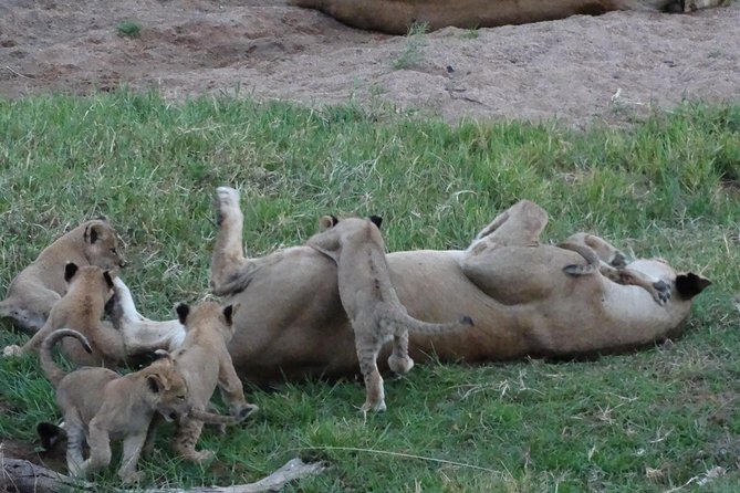 10 days Safari to Nyerere NP, Ruaha NP, Udzungwa NP and Mikumi NP + Isimila Site - Day 4: From Morogoro to Ruaha by way of Iringa