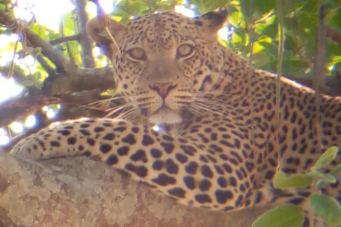 10 days Safari to Nyerere NP, Ruaha NP, Udzungwa NP and Mikumi NP + Isimila Site - Day 8: Udzungwa forest and 170-meter Sanje Falls