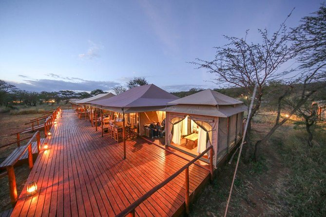 12 Days Amazing Tanzania Wildlife and Cultural Experience - Day 11: Lake Manyara’s forest and famous lions