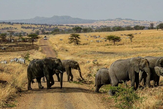 12 Days Safari Tour around Mt Kilimanjaro off the beaten - Day 6: The long return to Arusha