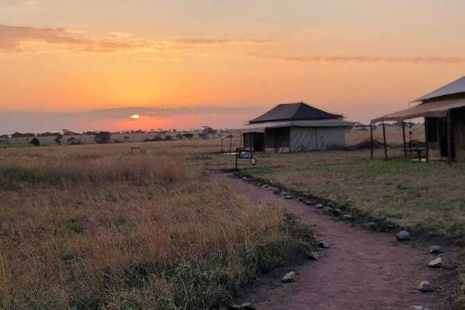 12 Days Safari Tour around Mt Kilimanjaro off the beaten - Days 9 and 10: Entering the Serengeti from the east