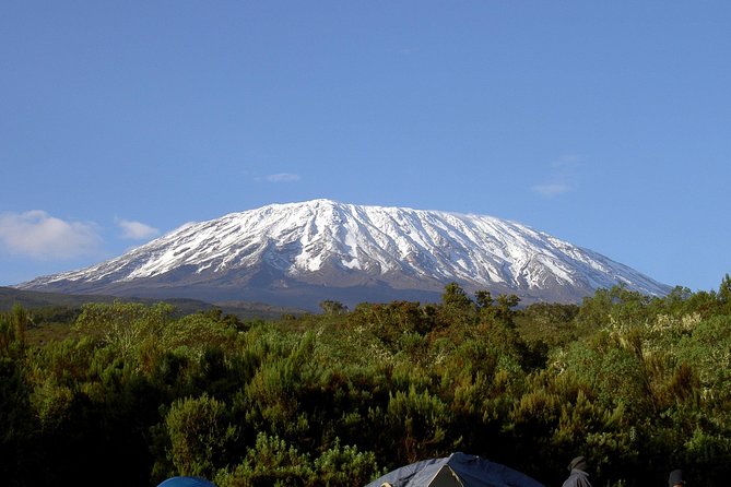 13 Days Adventure in Tanzania - Trekking and Wildlife Safari - A mountain and safari trip in one package