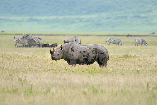 2 Day Budget Safari in Tarangire and Ngorongoro From Arusha - What the $500 price really covers