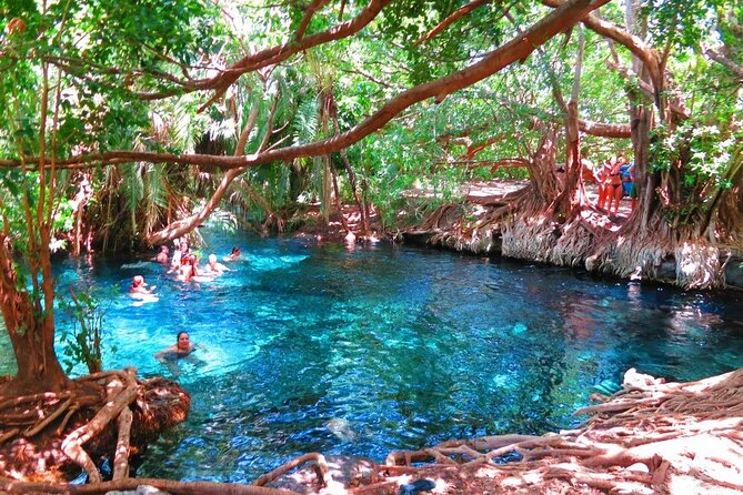 2-Day Masai Village Camping Experience and Kikuletwa Hot Spring - Key points at a glance