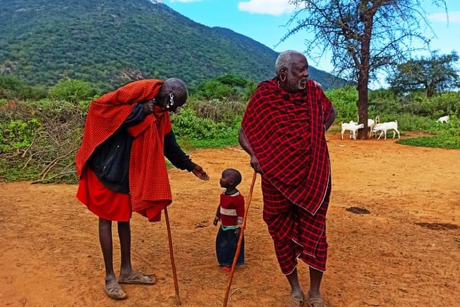 2-Day Masai Village Camping Experience and Kikuletwa Hot Spring - The road from Moshi to Kikuletwa