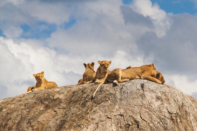 2-Day Private Guided Tour to Tarangire and Ngorongoro - Why this two-day route works