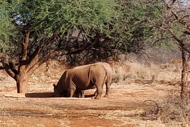 2-Day Private Guided Tour to Tarangire and Ngorongoro - What the $1,278 price really covers