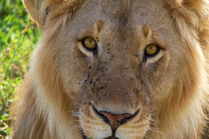 2-Day Private Guided Tour to Tarangire and Ngorongoro - Leaving Arusha at 8:00 AM for Tarangire