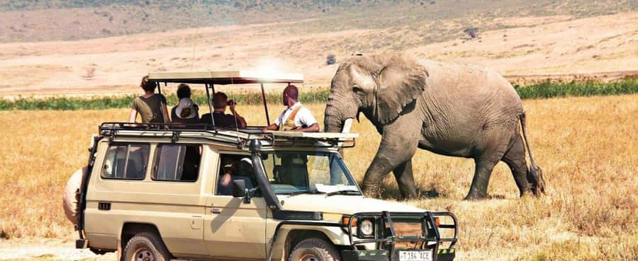2-Day Private Luxury Safari from Zanzibar with Flights - Five Things to Know Before You Book