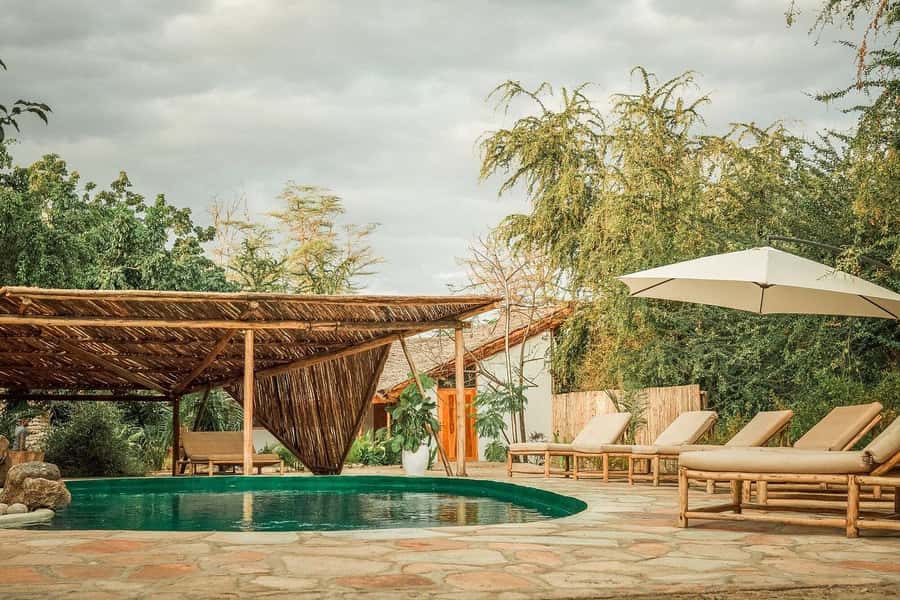 2-Day Private Luxury Safari from Zanzibar with Flights - What This Zanzibar Safari Really Offers
