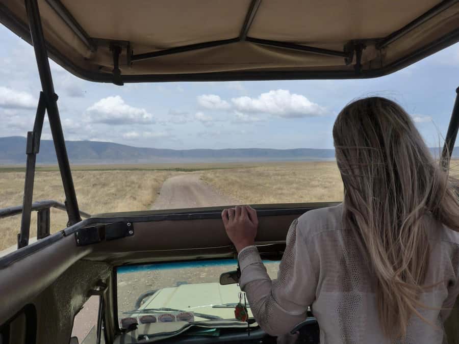 2-Day Private Luxury Safari from Zanzibar with Flights - The Return to Zanzibar