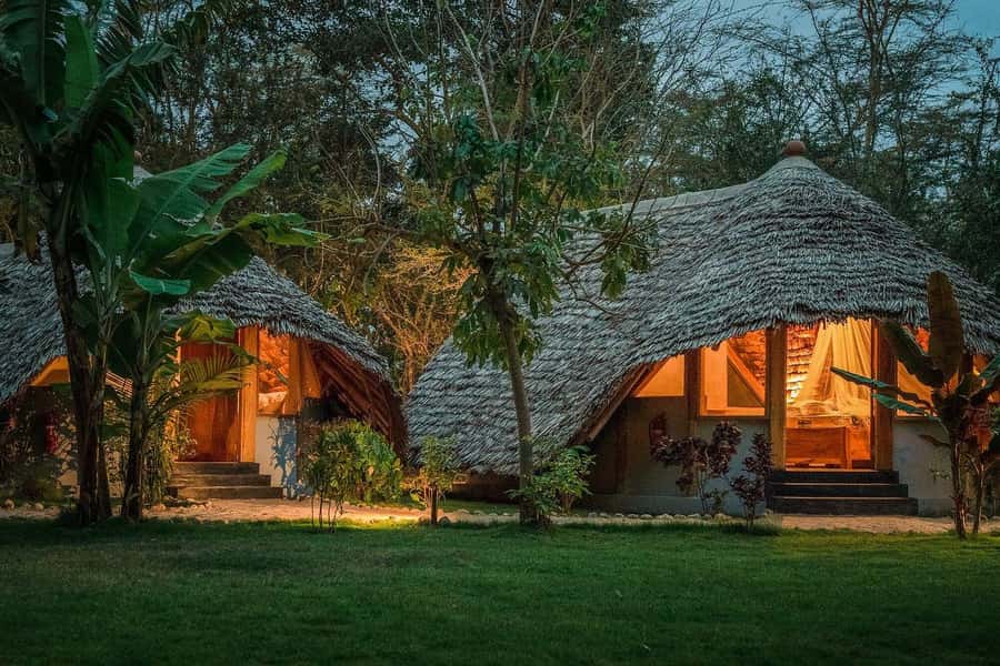 2-Day Private Luxury Safari from Zanzibar with Flights - Who Will Enjoy This Trip Most?