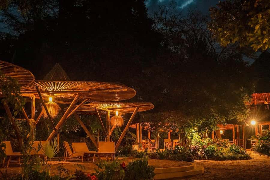 2-Day Private Luxury Safari from Zanzibar with Flights - Booking Advice and Final Verdict