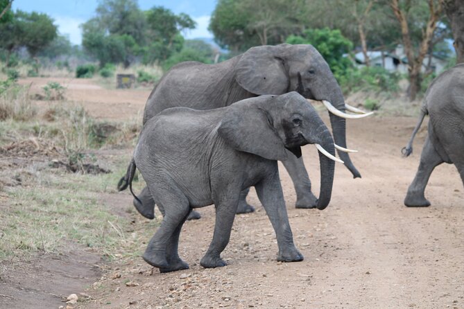 2-Day Private Mikumi National Park Tour with Pickup - Morogoro and the Uluguru Mountain view