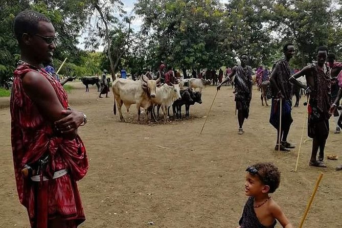 2 Day Safari To Mikumi National Park + transfers from Dar Es Salam - Why Mikumi works for a short Tanzania safari