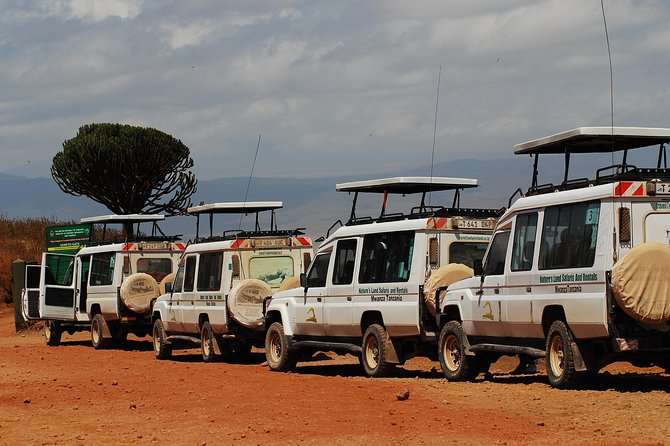 2 Day Serengeti Safari Experience from Mwanza - Ndabaka Gate marks the real beginning