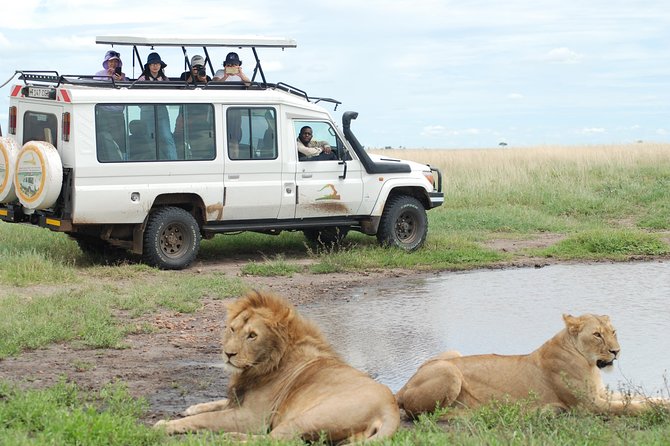 2 Day Serengeti Safari Experience from Mwanza - Returning to Mwanza after the second park day