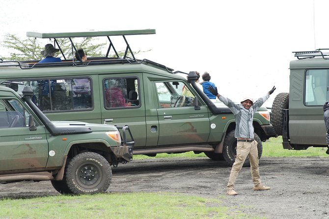 2 Day Serengeti Safari Experience from Mwanza - A full day of game-viewing in Serengeti