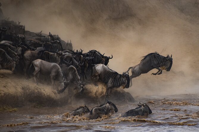 2-Day Sublime Safari to Tarangire and Ngorongoro Safari - Why This Two-Day Route Makes Sense