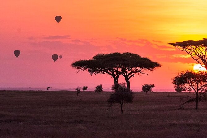 2-Day Sublime Safari to Tarangire and Ngorongoro Safari - Day One: Elephants and Golden Grassland in Tarangire