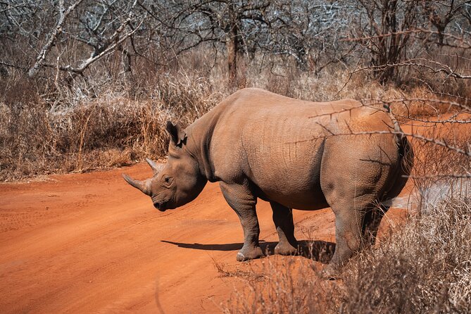 2 Day Tanzania Safari in Tarangire and Ngorongoro Crater - Practical details to settle before departure