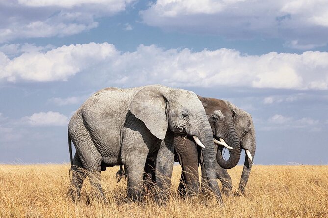 2 Day Tanzania Tour - The early start in Arusha
