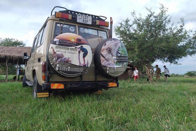 2 Day Wildlife Experience and Masai Culture Mikumi Park - The sunset game drive on day one