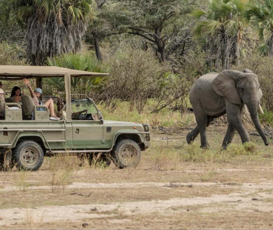 2 Day Zanzibar to Nyerere NP (Selous GR) By Flight - Key points at a glance
