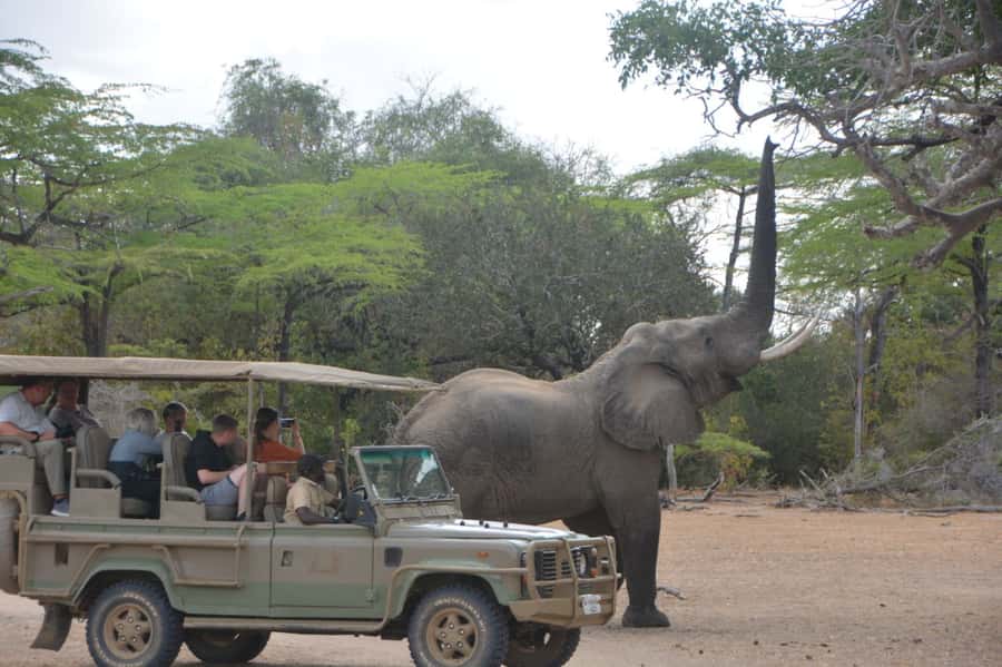 2 Day Zanzibar to Nyerere NP (Selous GR) By Flight - The full-day game drive in Nyerere National Park