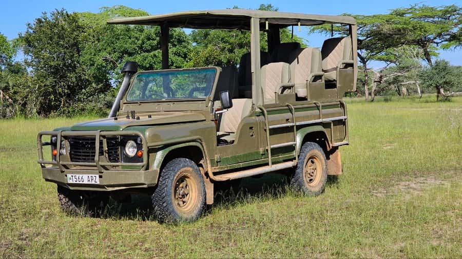 2 Day Zanzibar to Nyerere NP (Selous GR) By Flight - Who will enjoy this experience most