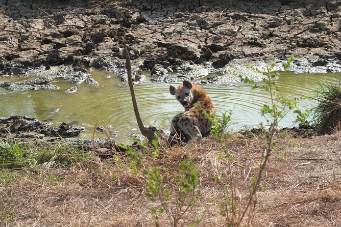 2 Days 1 Night Mikumi National Park - Key points at a glance
