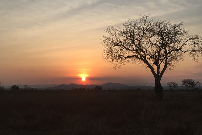 2 Days 1 Night Mikumi National Park - The first game drive: elephants, lions, and hippo pools