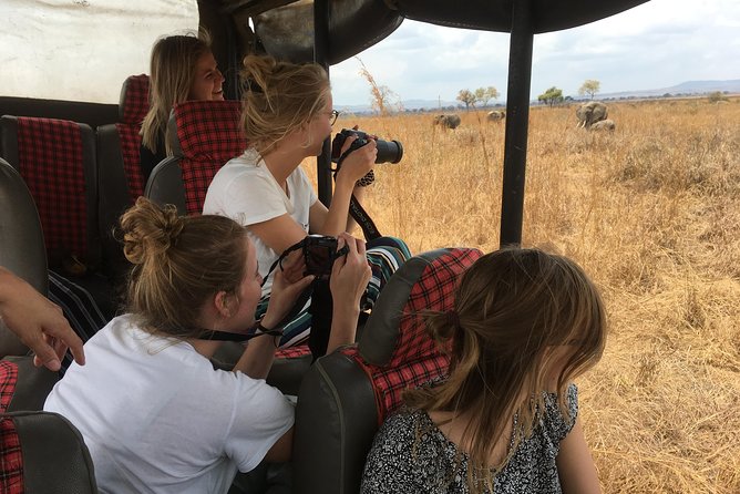 2 Days 1 Night Mikumi National Park - What the strongest feedback tells you