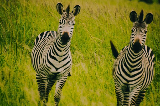 2 Days 1 Night Mikumi National Park from Dar es salaam - Leaving Mikumi and stopping in Morogoro