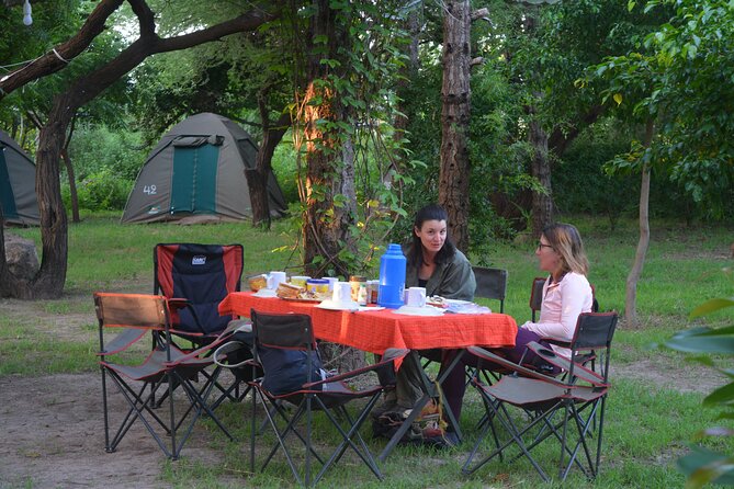 2 Days 1 Night Northern Joining Safari Private Tour - What the private format really gives you