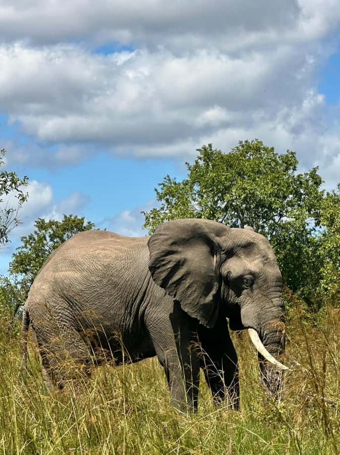 2 Days 1 Night Nyerere National Park from Zanzibar by flight - Day two: two hours on the Rufiji River