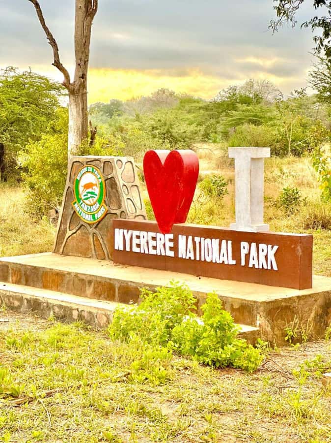 2-Days 1-Night Nyerere National Park from Zanzibar by flight - Day 1: From Zanzibar to Mtemere Airstrip