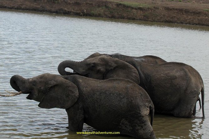2 Days /1 Night safari to Mikumi - The road from Dar es Salaam to Mikumi