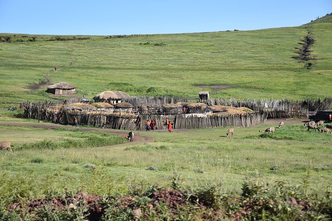 2 Days / 1 Night Tanzania Safari Tour - Fig Tree Lodge and the overnight pause