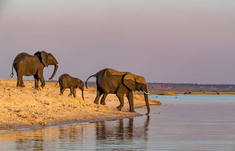 2 Days 1 Night Tarangire & Ngorongoro Crater - Key Points At A Glance