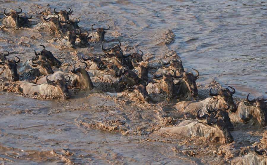 2 Days 1 Night Tarangire & Ngorongoro Crater - Two Parks, Two Very Different Safari Moods