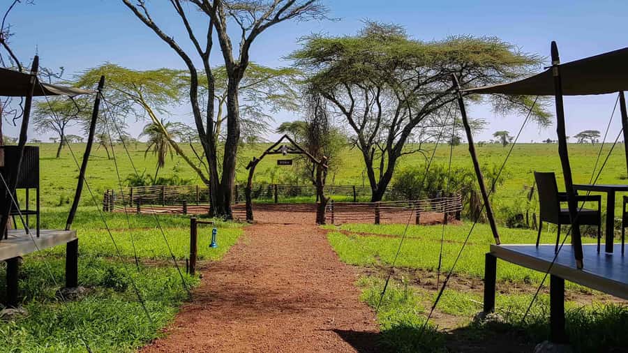 2 Days 1 Night Tarangire & Ngorongoro Crater - Is $730 Per Person Good Value?