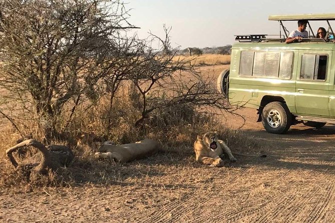 2 Days Africa Safari - Why this two-day safari works for a short Tanzania visit