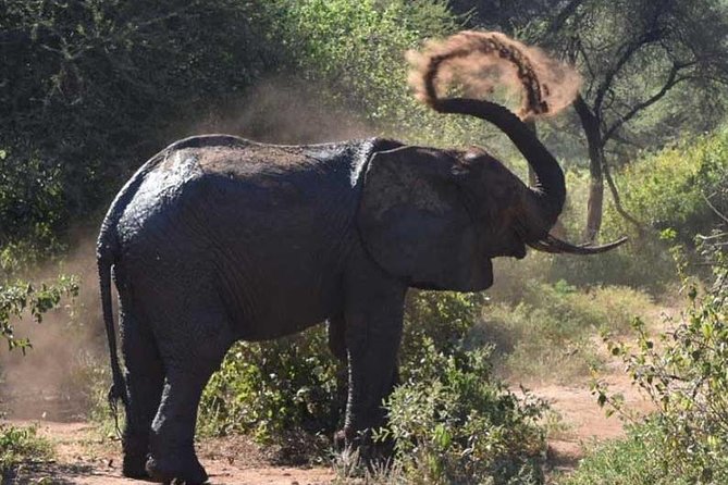 2 Days Africa Safari - Who will enjoy this safari most?